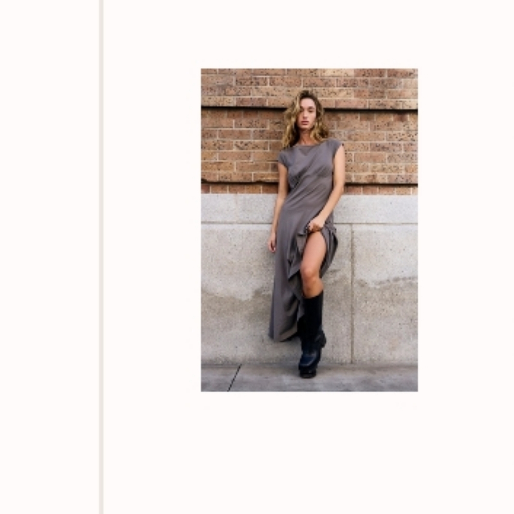 Frew People Elegant Gray Women's Dress - Picture 14 of 14
